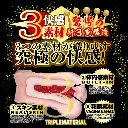 meiki_013_tanaka_lemon-10.webp