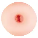 4526374713347.pt02.webp