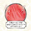 4526374470233-02.webp