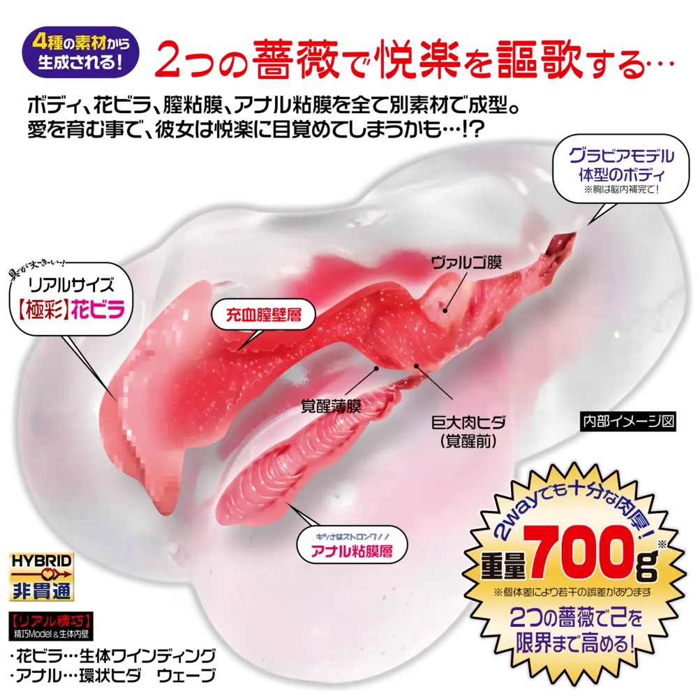 WFN0003185_04z.webp