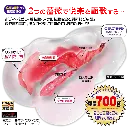 WFN0003185_04z.webp