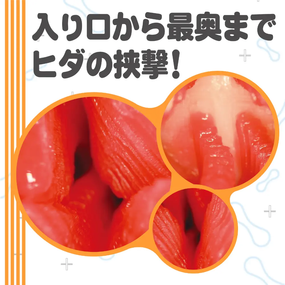 WFN0009114_03z.webp