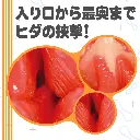 WFN0009114_03z.webp