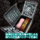 4526374913389.pt02.webp