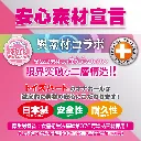 4526374570186-01.webp