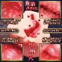 WFN0010582_02z.webp