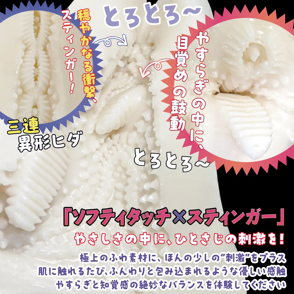 WFN0010280_05z.webp