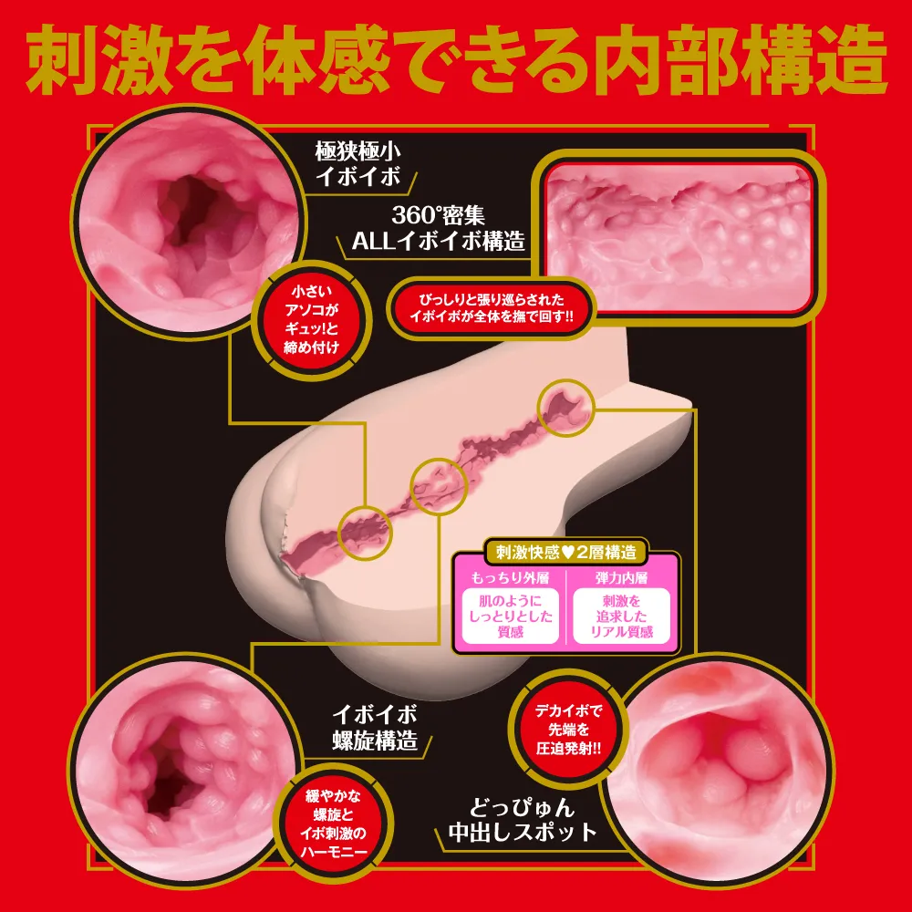 WFN0008366_02z.webp