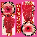 OH-3417_503.webp