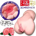 3極彩.webp