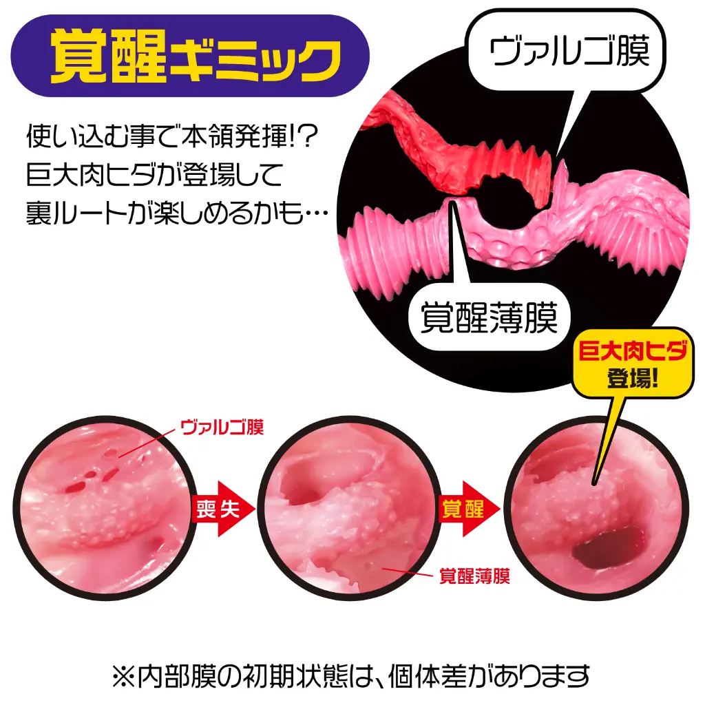 5覚醒ギミック.webp
