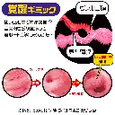 5覚醒ギミック.webp