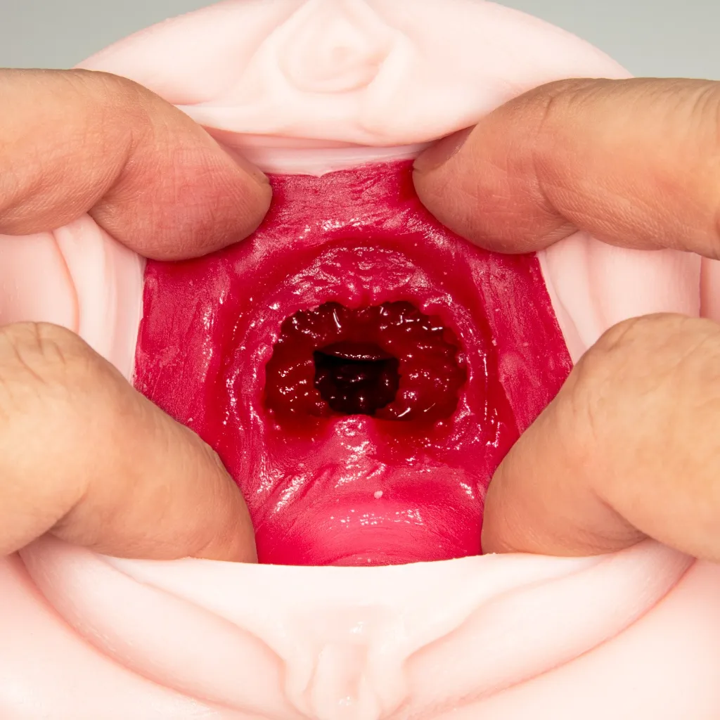 OH-2594_510.webp