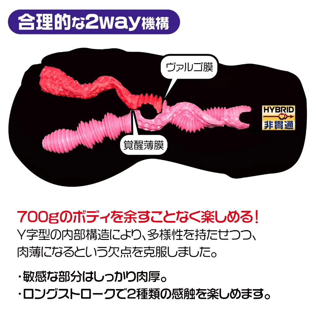 4合理的な2way.webp