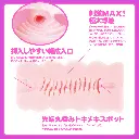 WFN0006816_03z.webp