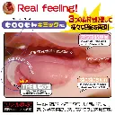 WFN0002580_04z.webp