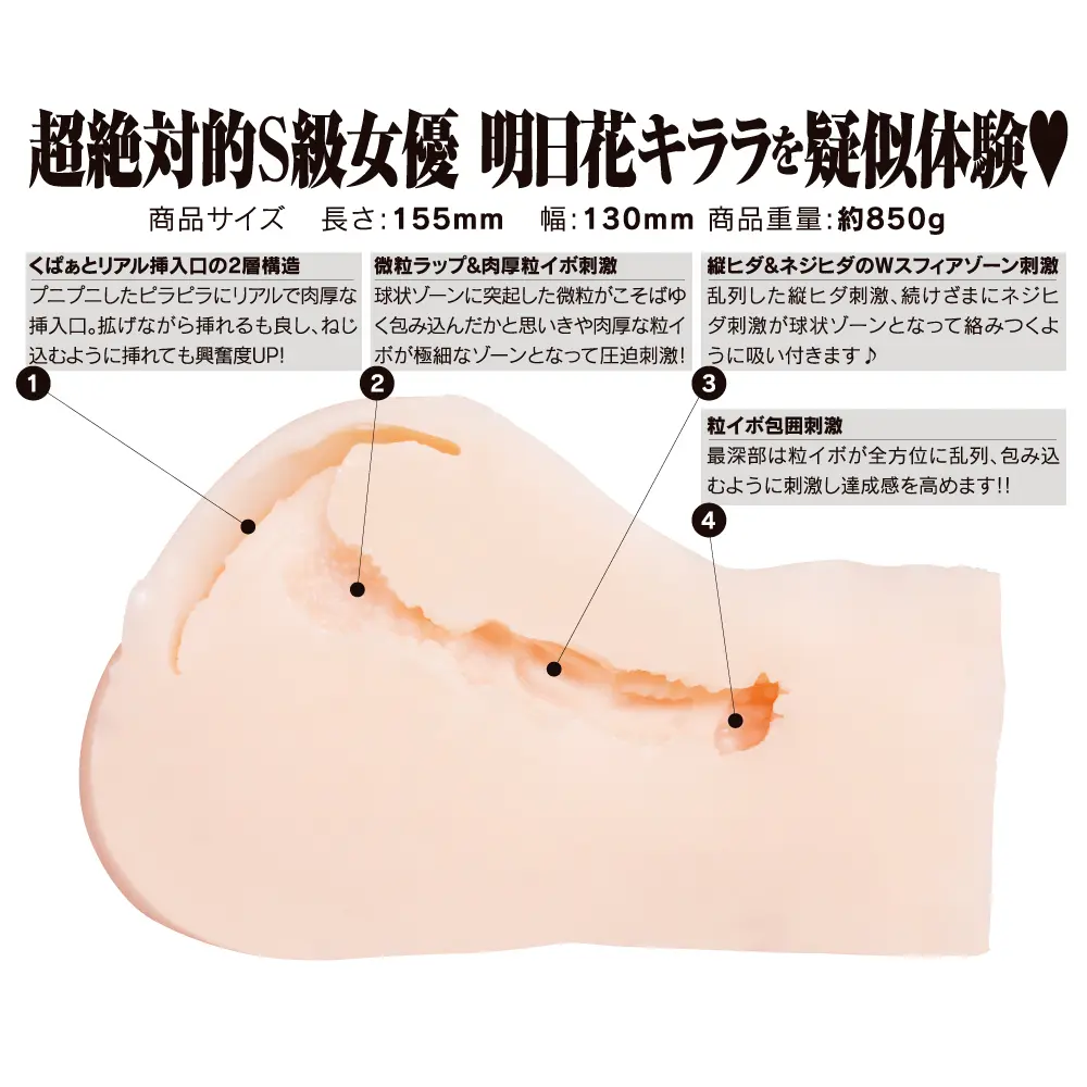 WFN0000789_02z.webp