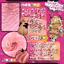 WFN0007744_03z.webp