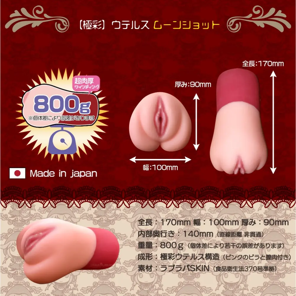 WFN0005735_06z.webp