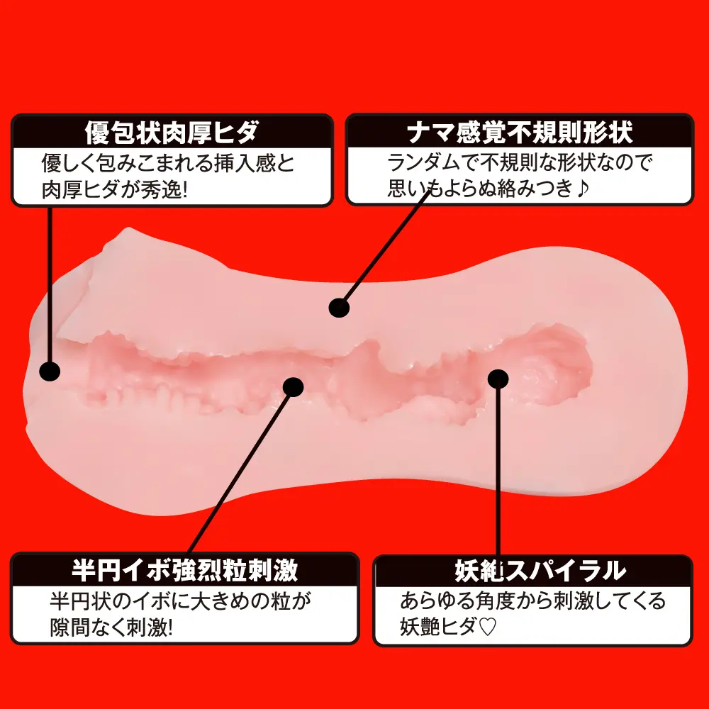 WFN0004088_02z.webp