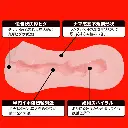 WFN0004088_02z.webp