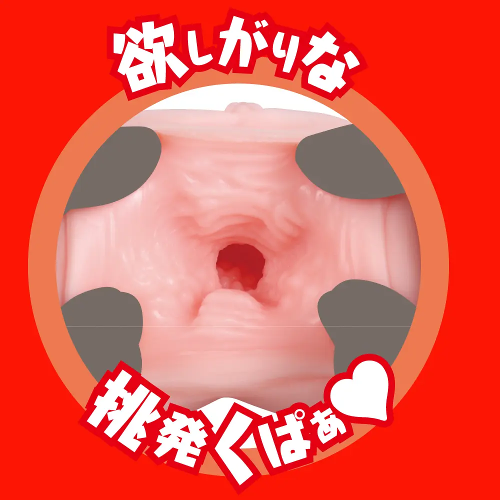 WFN0004088_05z.webp