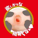 WFN0004103_05z.webp