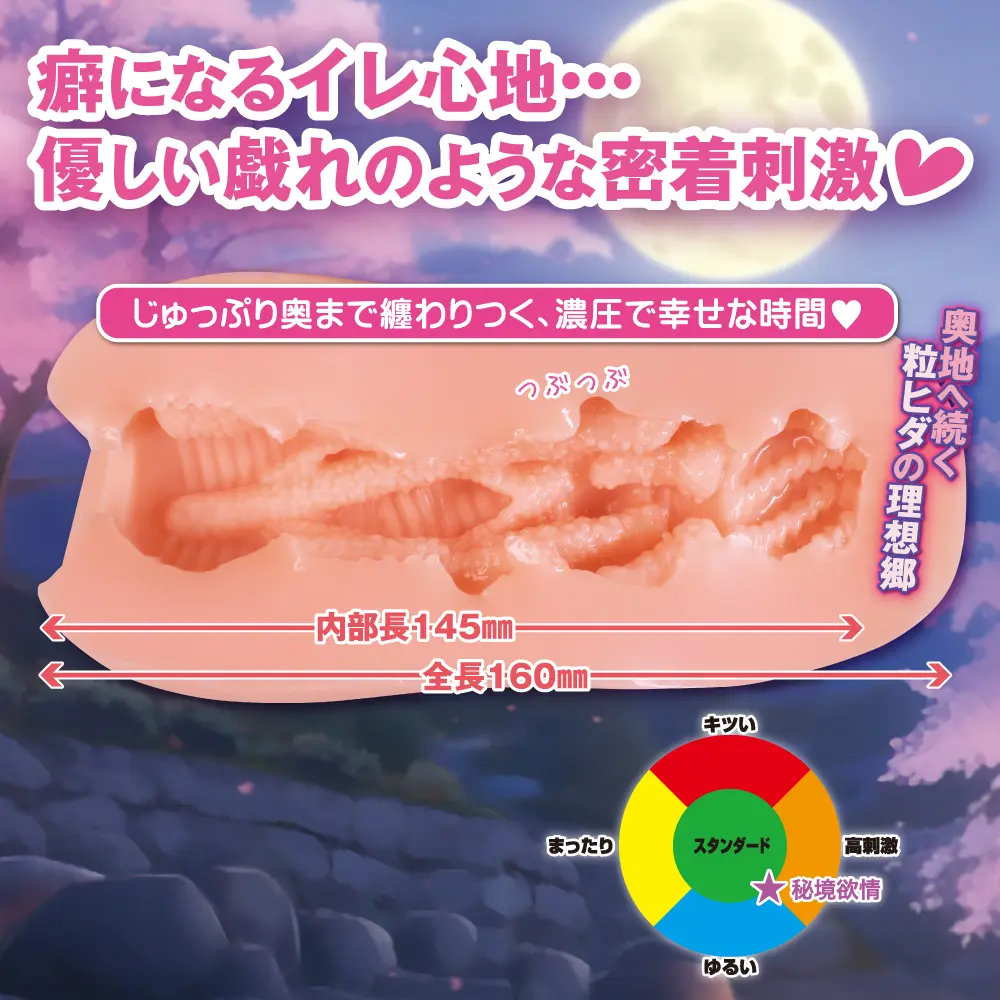 4526374370380-02.webp