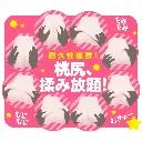 WFN0003935_04z.webp