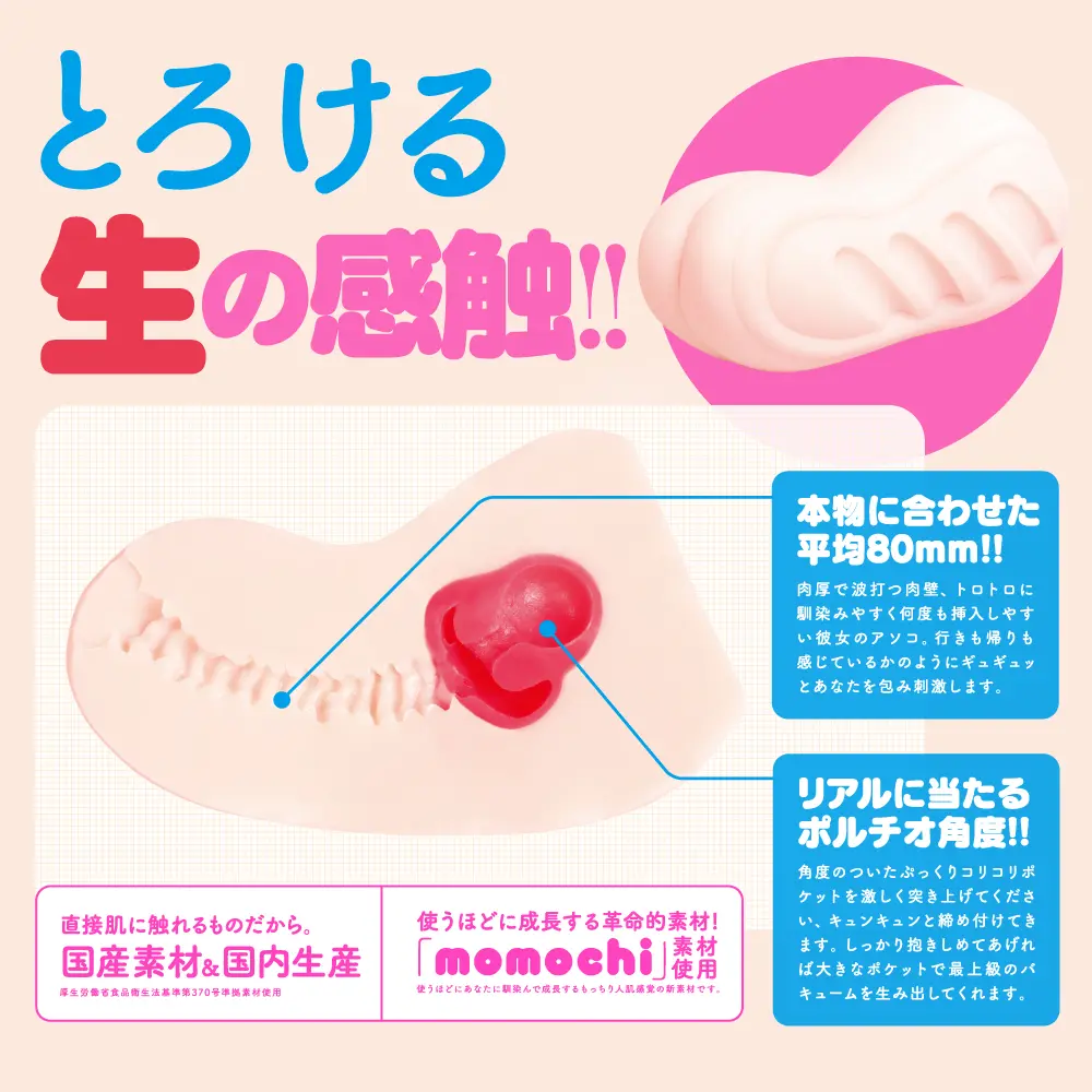 WFN0008527_02z.webp
