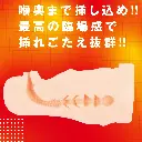 WFN0005384_03z.webp