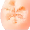 WFN0006771_08z.webp