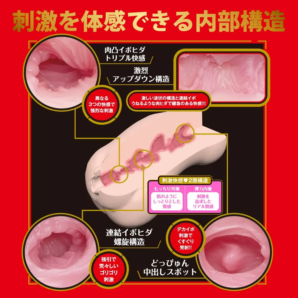 WFN0008537_02z.webp