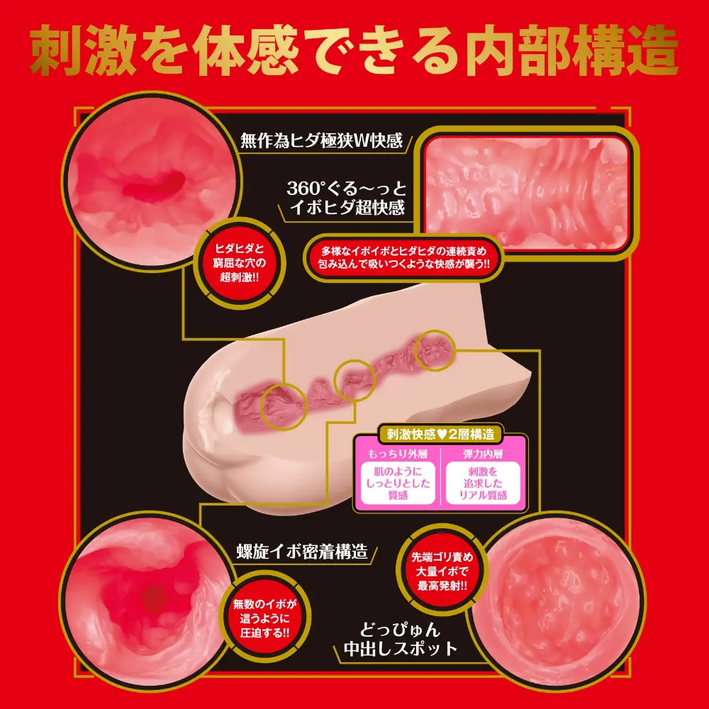 WFN0009524_02z.webp