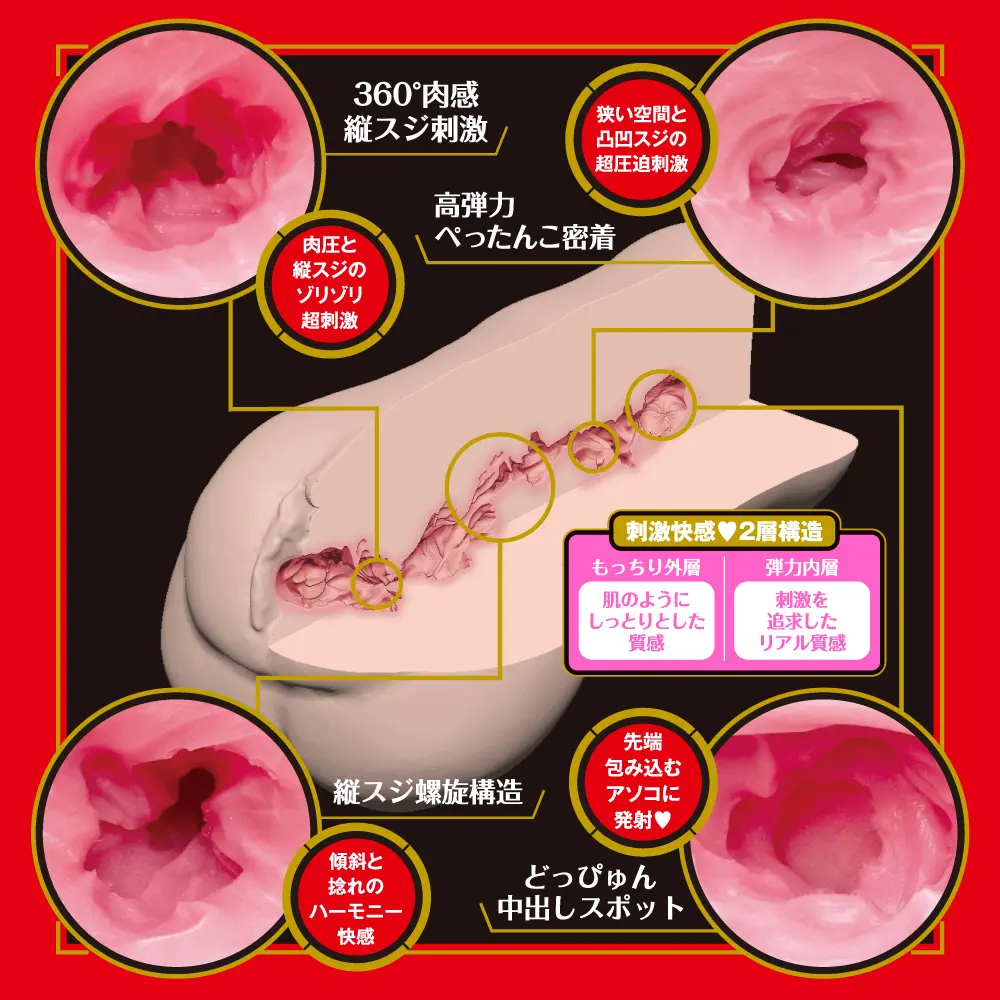 WFN0008224_03z.webp