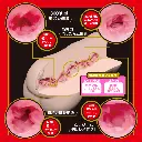 WFN0008224_03z.webp