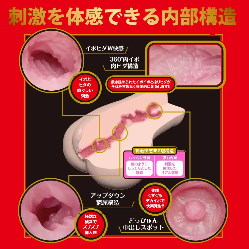 WFN0008536_02z.webp