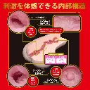 WFN0008536_02z.webp