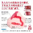 shifuku_no_meiki-6.webp
