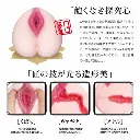 shifuku_no_meiki-5.webp