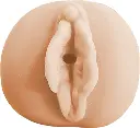 WFN0009629_09z.webp