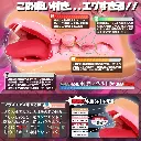 WFN0007381_04z.webp